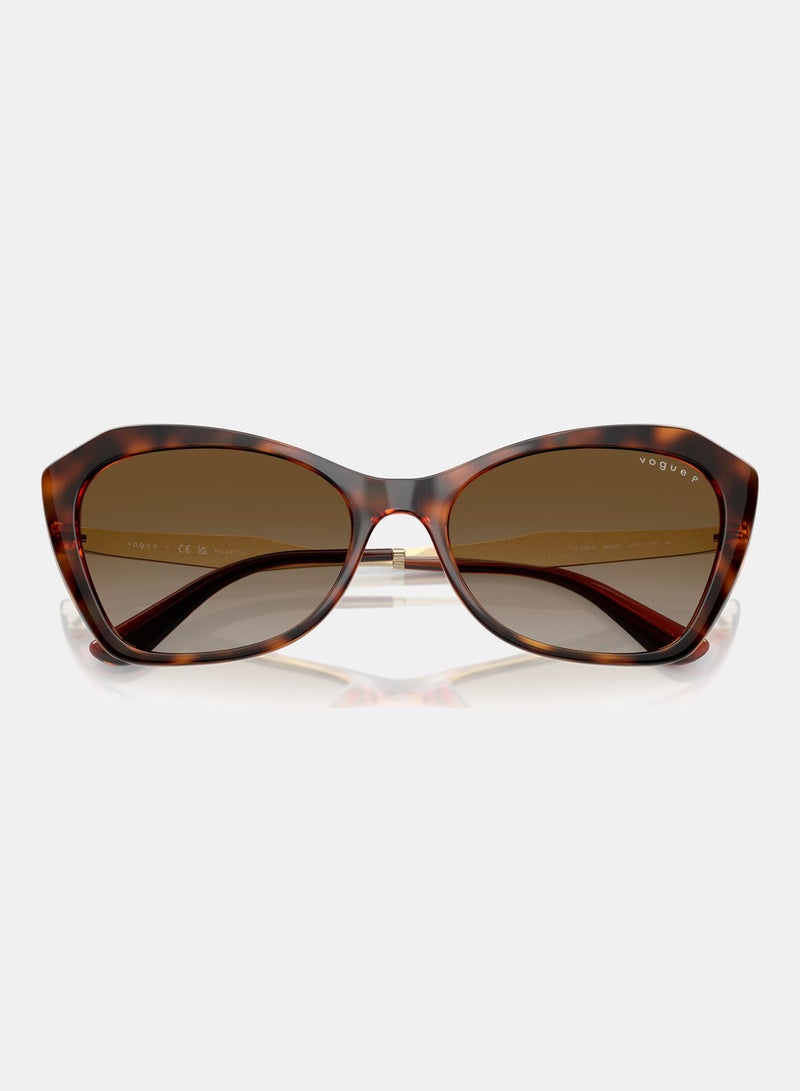 Vogue Full Rim Cat Eye Sunglasses 5626S, 56, W656, T5 - Image 5